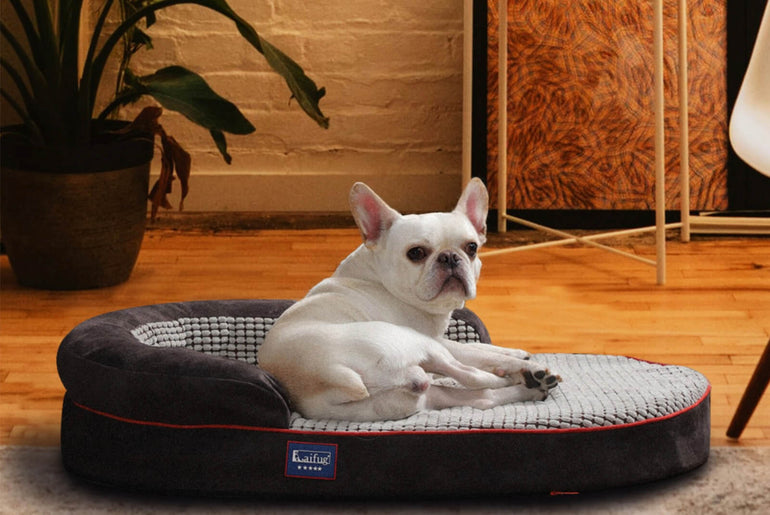 Laifug Oval Dog Bed-2