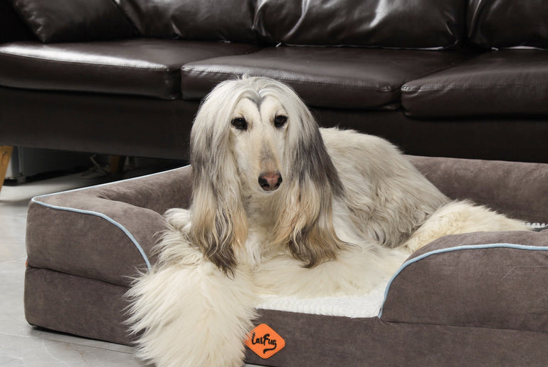 Laifug Large Orthopedic Premium Memory Foam Dog Sofa-11