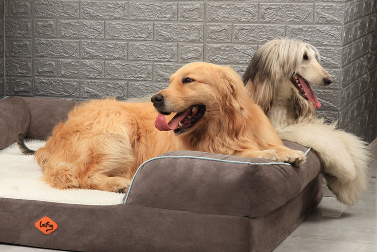 Laifug Large Orthopedic Premium Memory Foam Dog Sofa-13