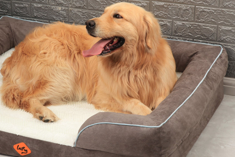 Laifug Large Orthopedic Premium Memory Foam Dog Sofa-12