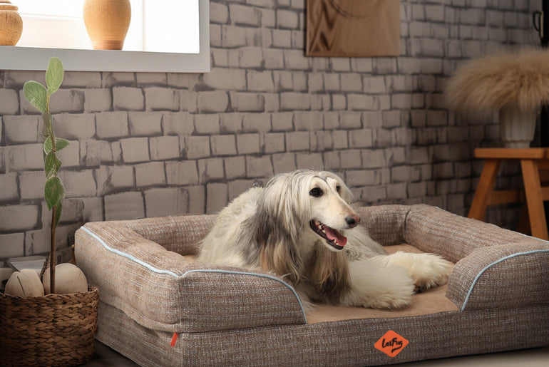 Laifug Large Orthopedic Premium Memory Foam Dog Sofa-26