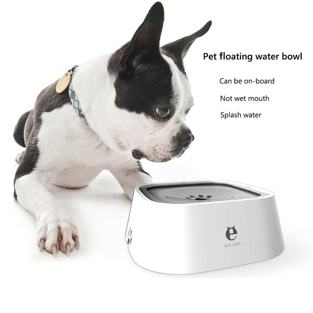 Pet Drinking Bowl