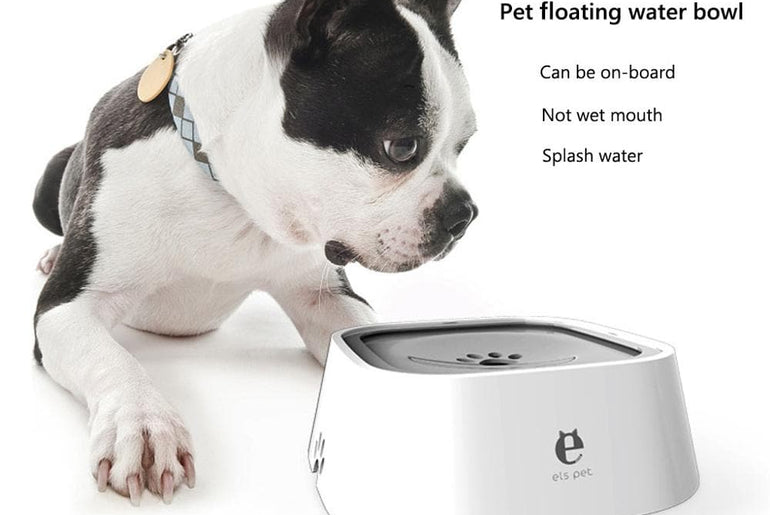 Pet Drinking Bowl