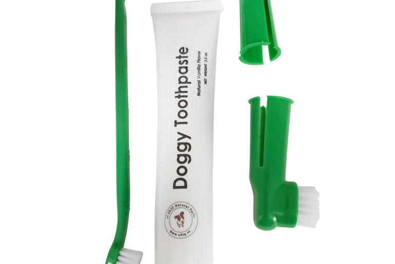 Dental Kit with Natural Dog Toothpaste - 4 piece-0