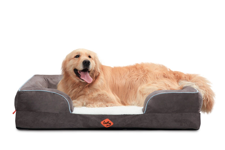 Laifug Large Orthopedic Premium Memory Foam Dog Sofa-4