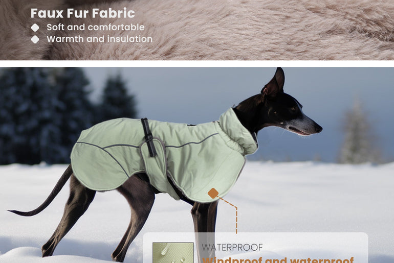 Laifug Green Stand Collar Cloak Dog Winter Coat-9