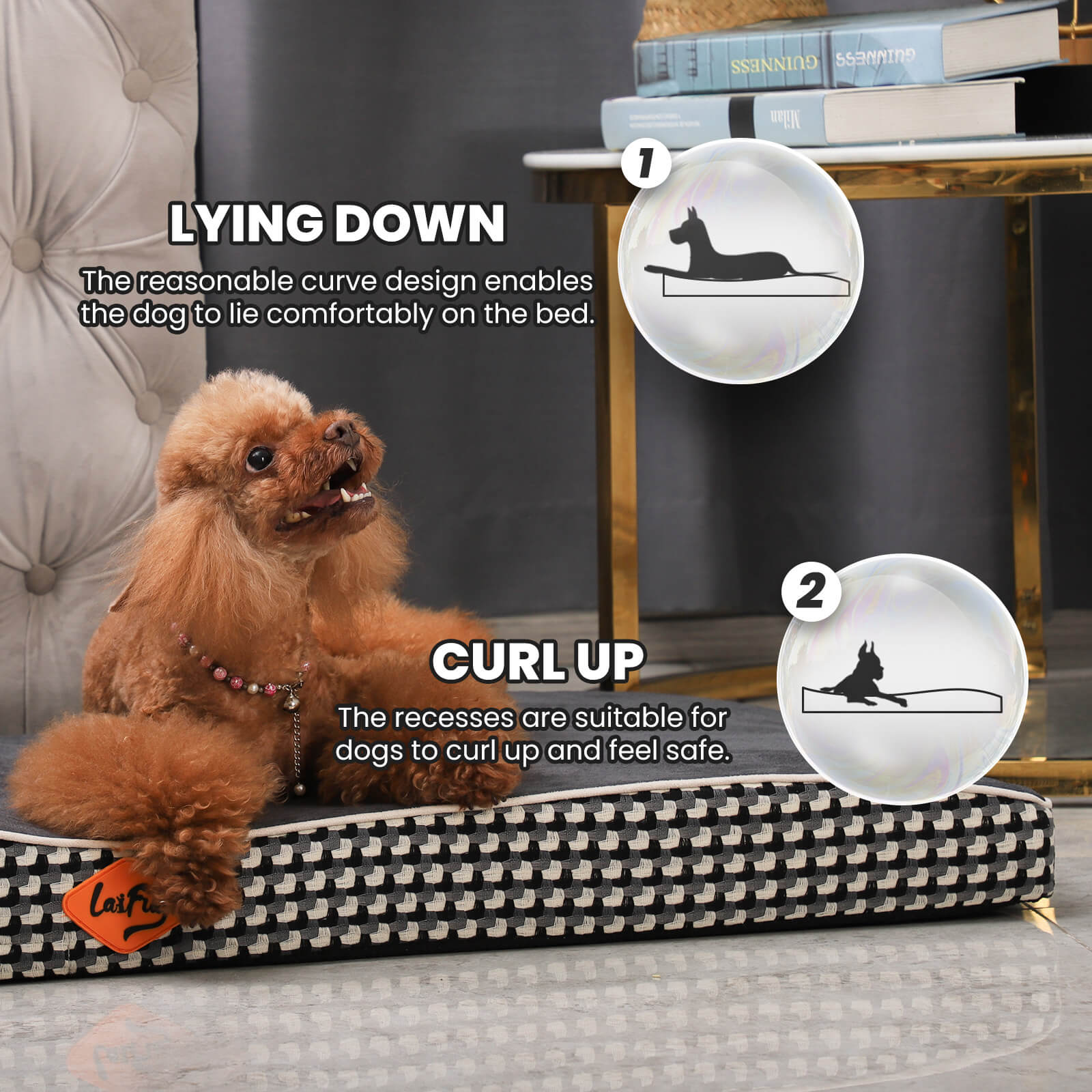 Laifug Wavy Dog Bed-4