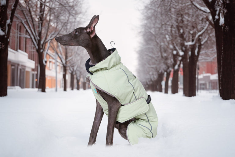 Laifug Green Stand Collar Cloak Dog Winter Coat-0