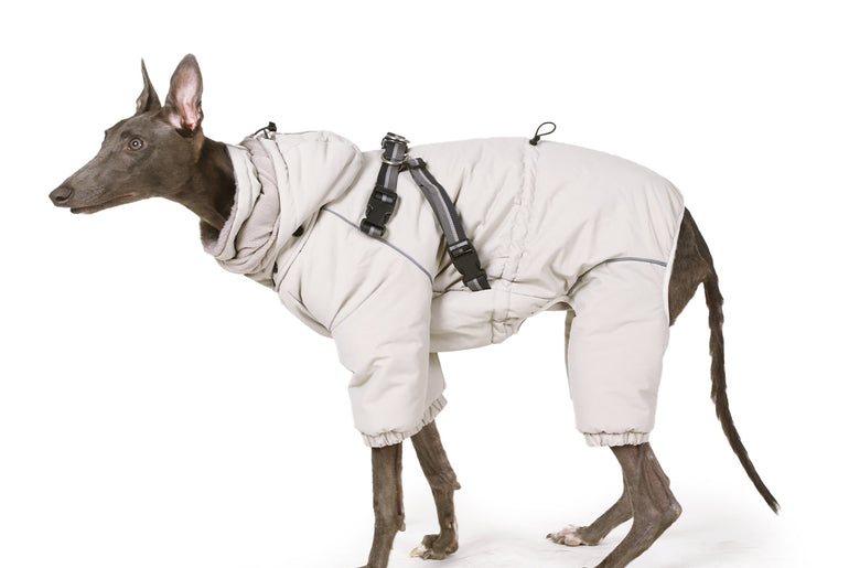 Laifug Grey hooded four Legged Onesies Dog Winter Coat-2