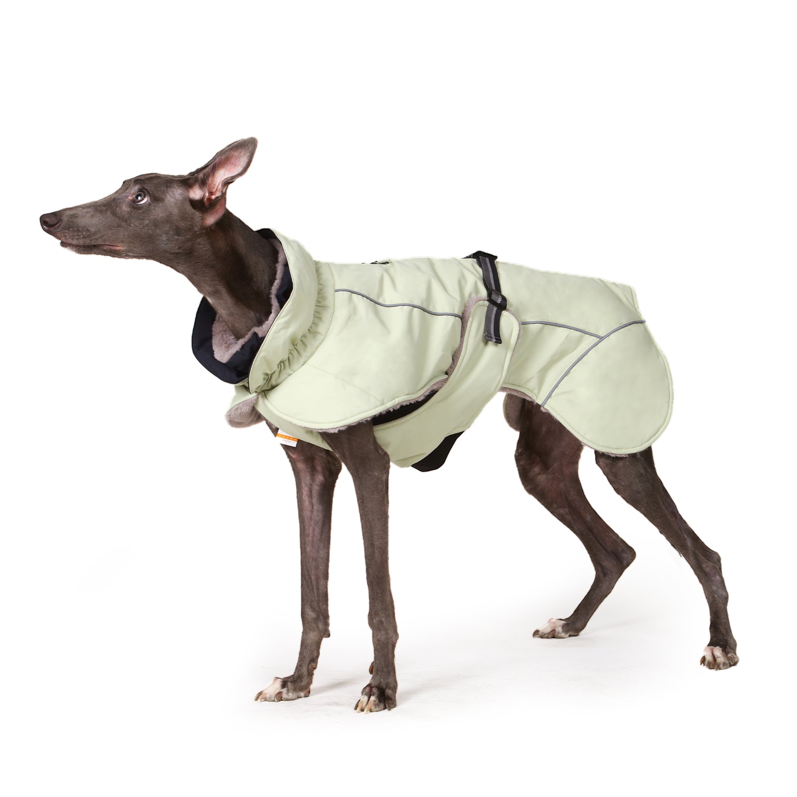 Laifug Green Stand Collar Cloak Dog Winter Coat-2