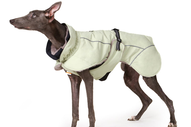 Laifug Green Stand Collar Cloak Dog Winter Coat-2